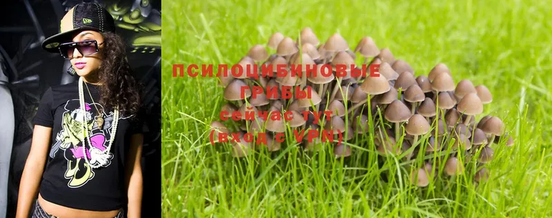 наркошоп  OMG ссылка  Псилоцибиновые грибы Psilocybine cubensis  Кораблино 